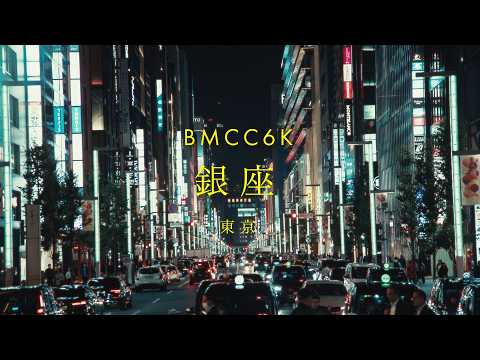 Neon Streets of Ginza