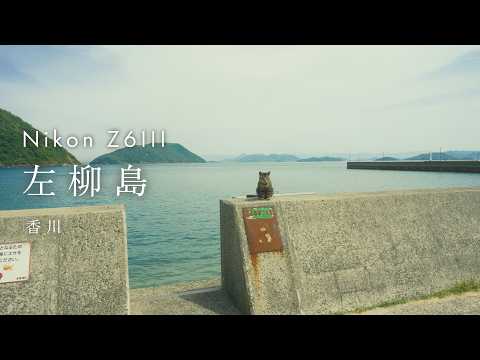 猫の島 — Exploring Japan's Cat Island